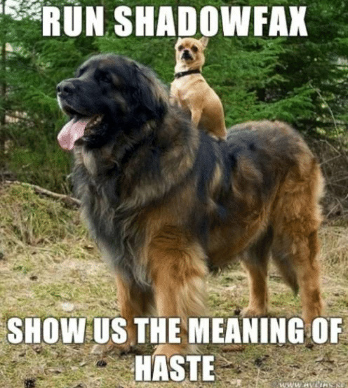 RunShadowFax.jpg