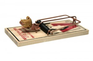 Mouse Trap Set With Peanut Butter Stock Photo - Download Image Now - Mouse  - Animal, Peanut Butter, Temptation - iStock