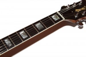 Guild-1975-M80-Fretboard