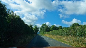 IrelandHedgeRowsRoad