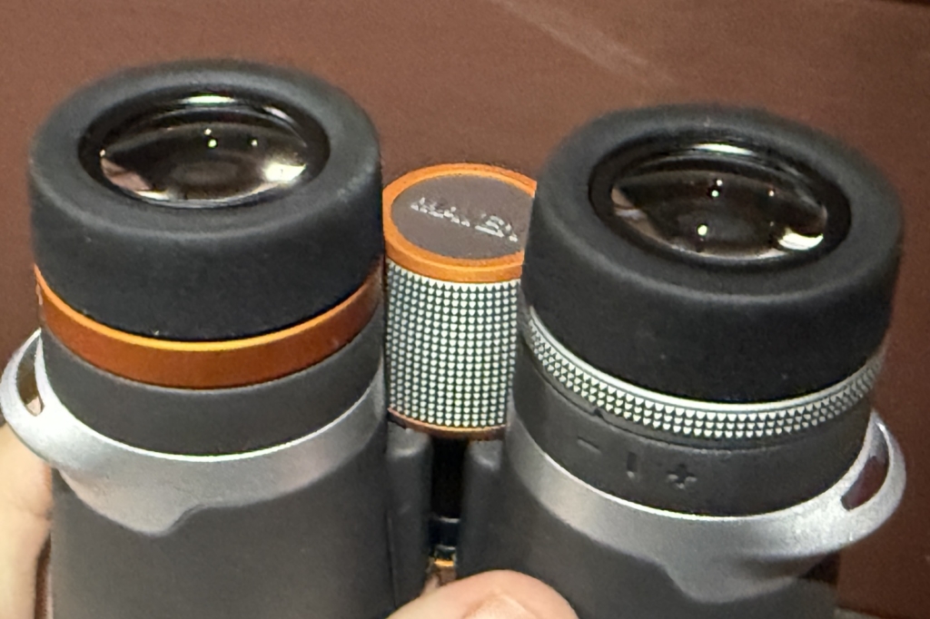 MavenEyeCups-1024x682.jpg